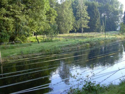 Hostal Hotel Forellenhof