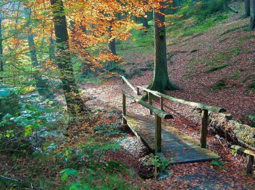 Hostal Hotel Forellenhof