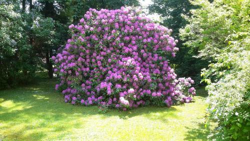 Hostal Kurpension W�lfel