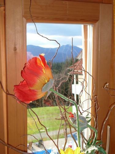 Komforthotel Ahornhof