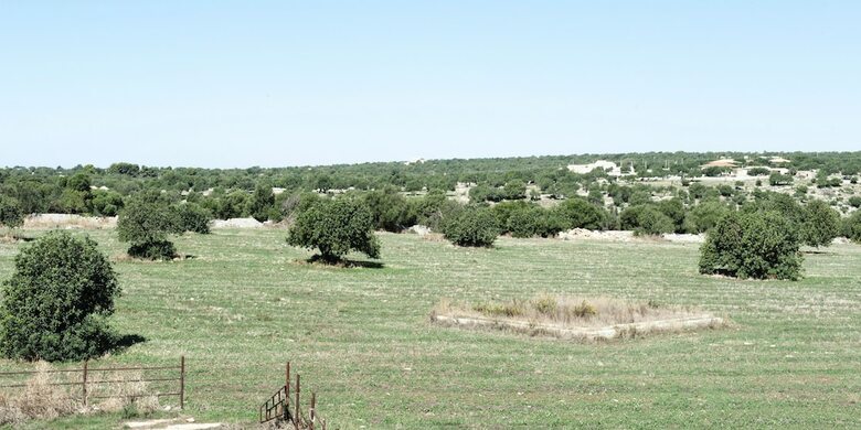 Agroturismo Nacalino Agriturismo
