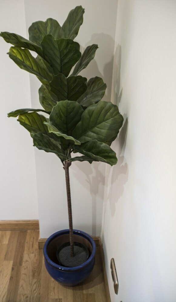 Apartamento Chamberi