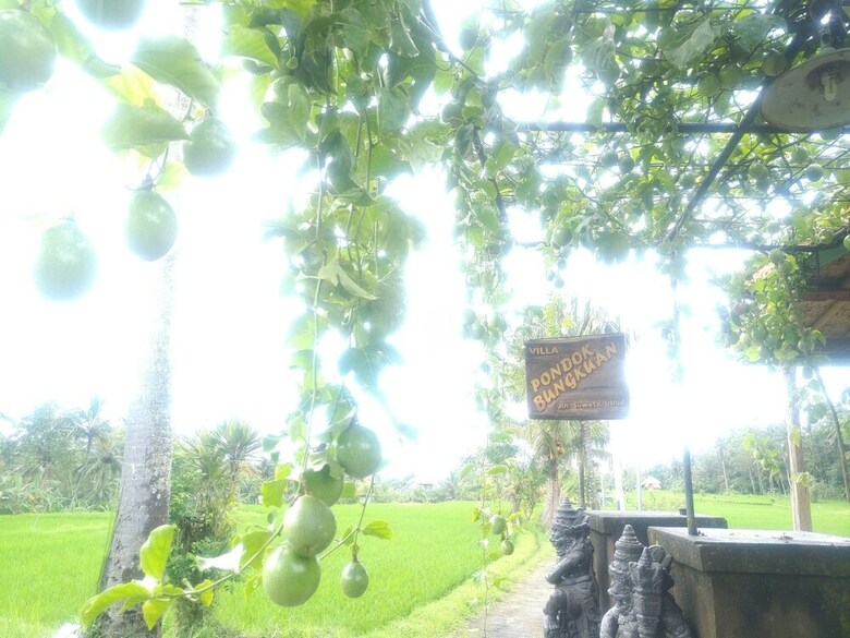 Bed & Breakfast Pondok Bungkuan