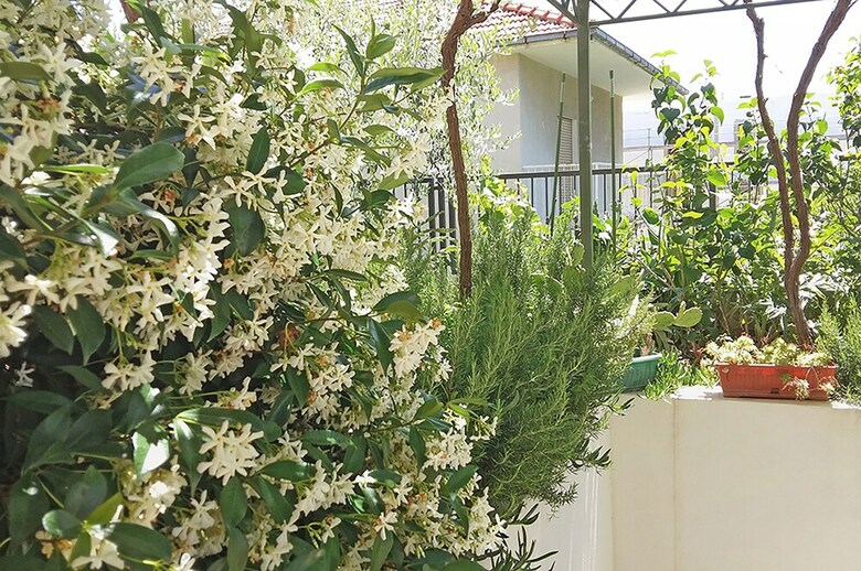 Apartamentos Marjan Park