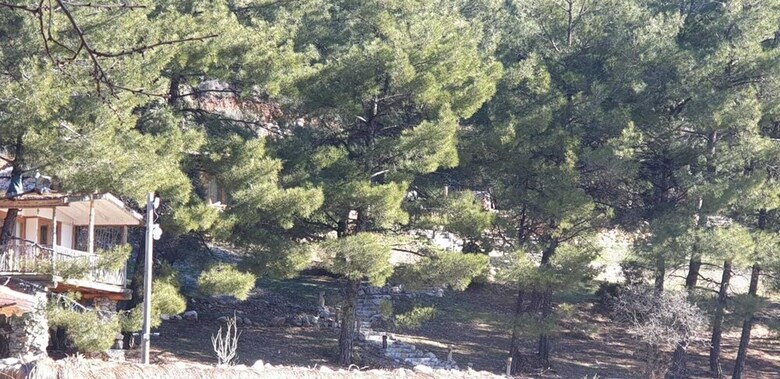 Hotel Yenice Vadi Dogal Yasam Koyu