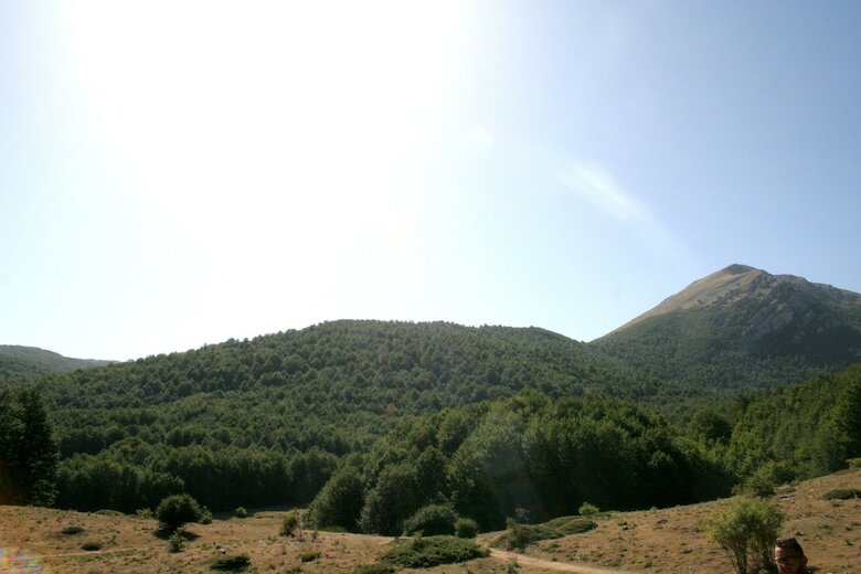 Bed & Breakfast La Dimora Della Zarina