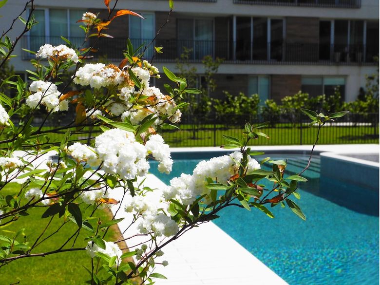 Apartamentos Exclusivo Departamento En Pilar