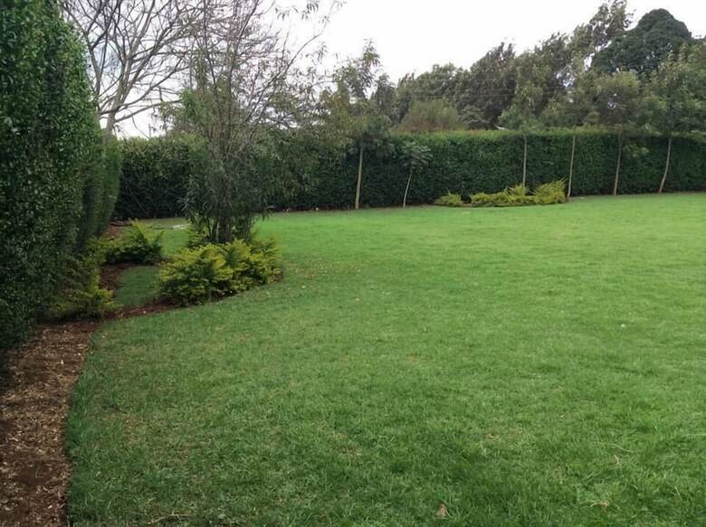 Hotel The Victorian Resort Kikuyu