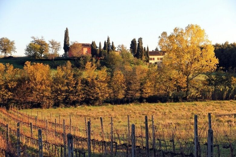 Villa Romignano Wine Farm