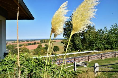 Hostal Romantik-landhaus Christophorus