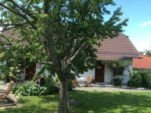 Apartamento Ferienwohnung Sonne-stadtrand Dresden