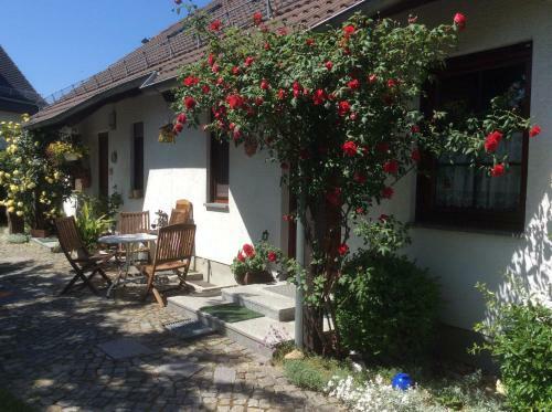 Apartamento Ferienwohnung Sonne-stadtrand Dresden
