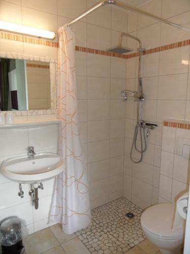 Hostal Hotel-pension Salzs�umerhof