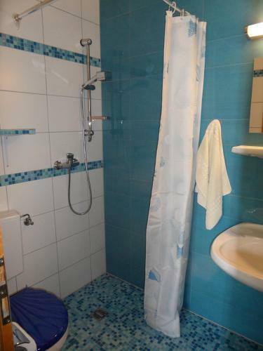 Hostal Hotel-pension Salzs�umerhof