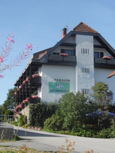 Hostal Hotel-pension Salzs�umerhof