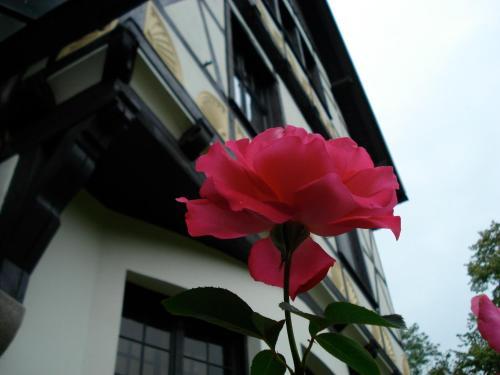 Hotel Gutshaus Kubbelkow