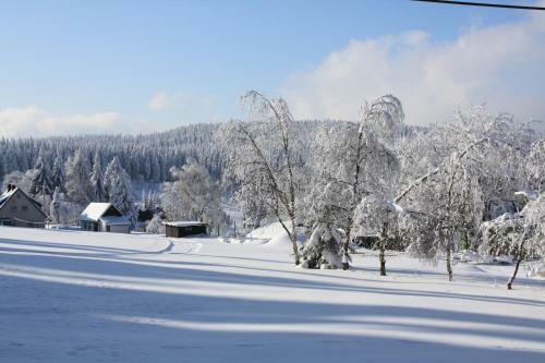 Ferienhotel M�hlleithen