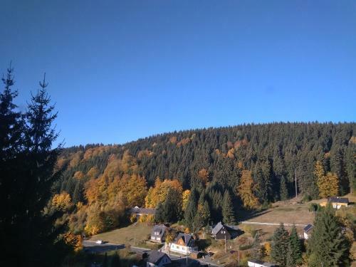 Hostal Greizer Kammh�tte Gastst�tte & Pension