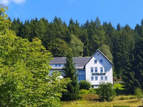 Hostal Greizer Kammh�tte Gastst�tte & Pension