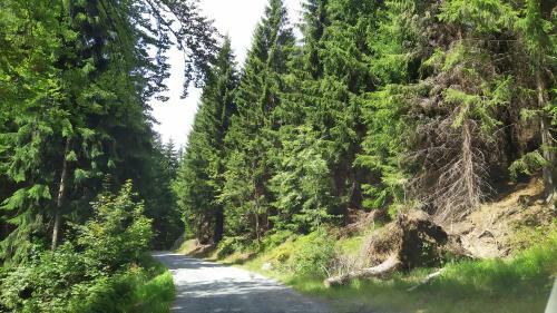 Hostal Greizer Kammh�tte Gastst�tte & Pension