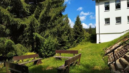 Hostal Greizer Kammh�tte Gastst�tte & Pension