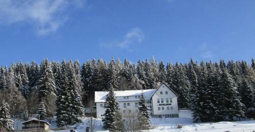 Hostal Greizer Kammh�tte Gastst�tte & Pension