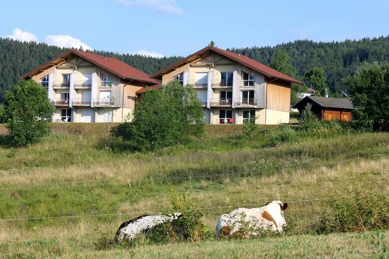 Apartment With 2 Bedrooms In Xonrupt-longemer - 10 Km From The Slopes