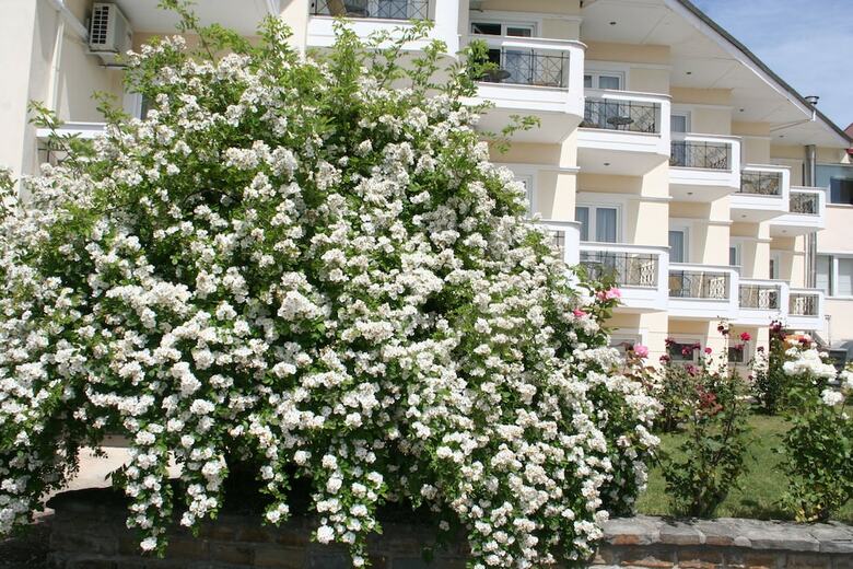 Hotel Achillion Grevena