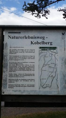 Hostal Waldgasthof - Hotel Schiederhof