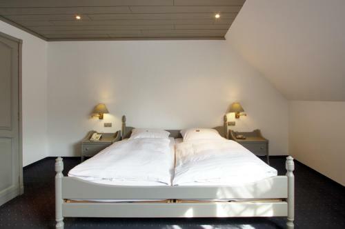 Flair Hotel Goldener Stern