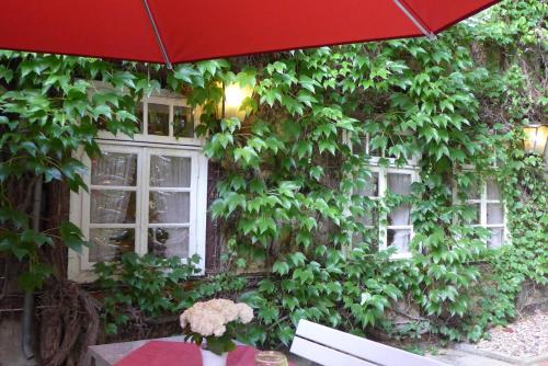Hostal Gasthof Bad Hopfenberg
