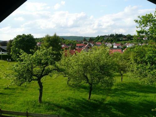 Attractive Holiday Home In Waltershausen With Fireplace