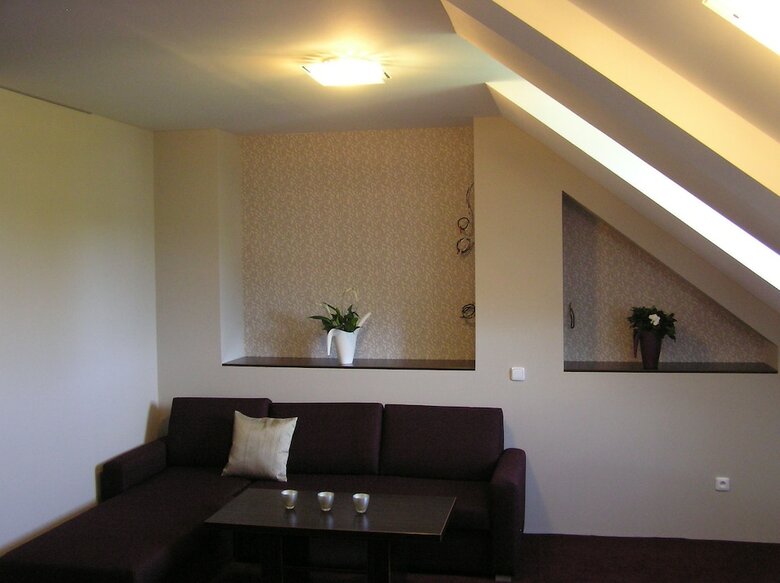 Pension Wellness Penzion Krom??�? - Zlobice
