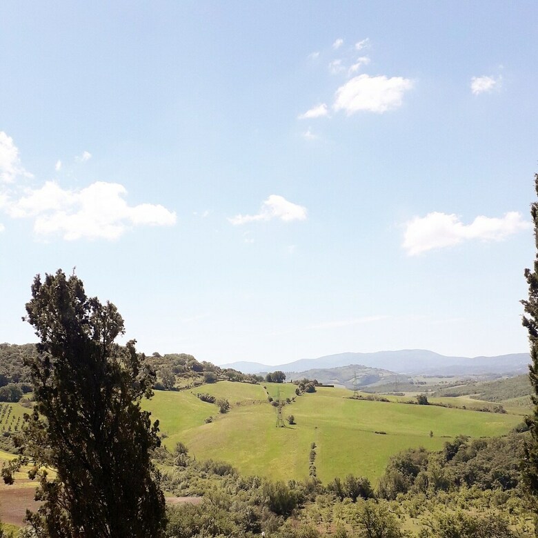 Apartamento La Pergola