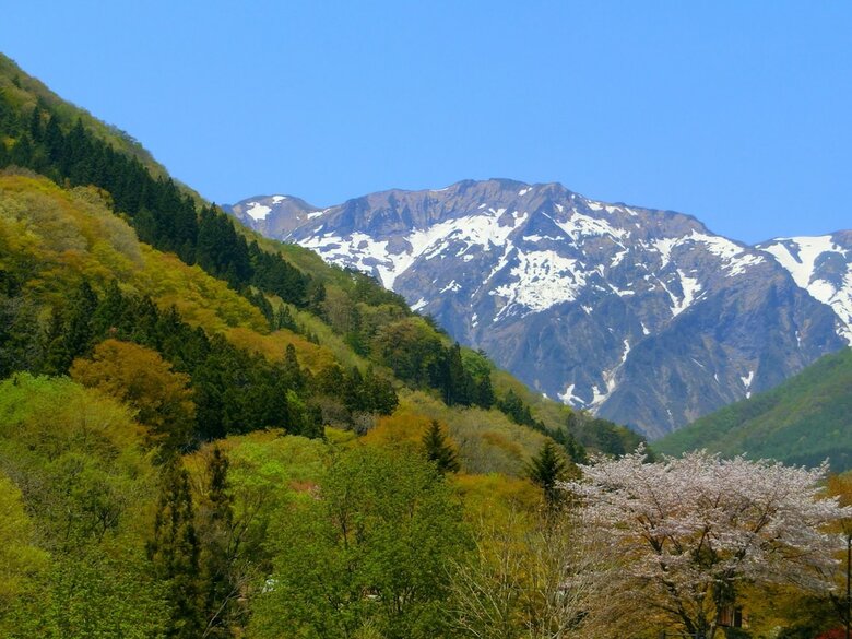 Pension Natural House Pure 21
