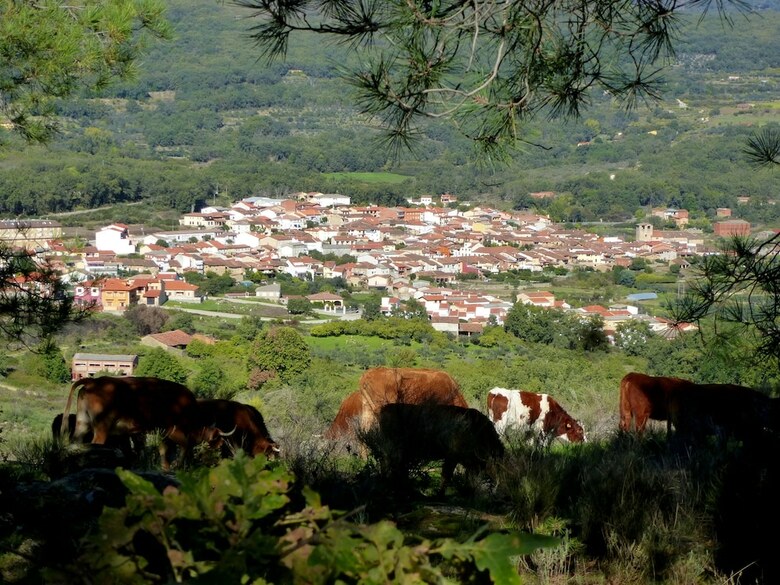 Apartamentos Entre Fuentes