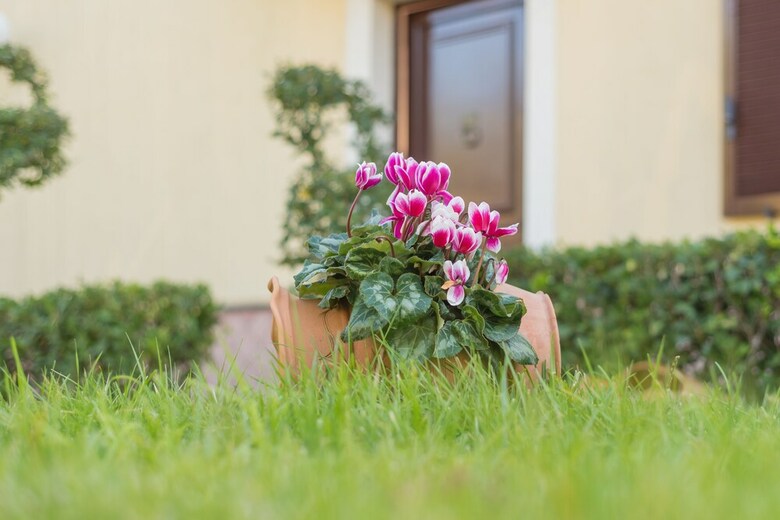 B&B Boutique Di Charme Etna-relax-natura