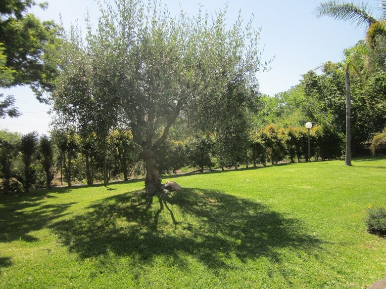 B&B Boutique Di Charme Etna-relax-natura