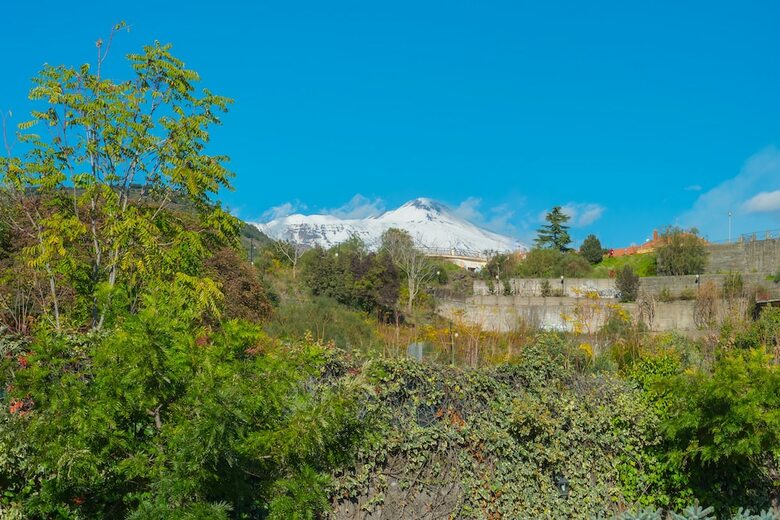 B&B Boutique Di Charme Etna-relax-natura