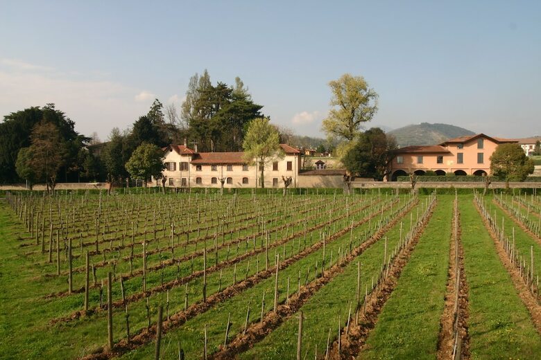 Agroturismo Ricci Curbastro Agriturismo