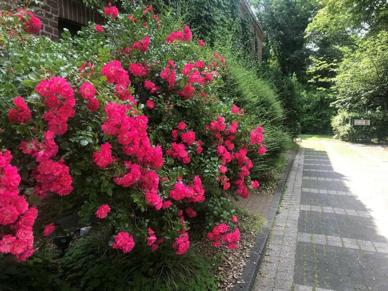 Hotel Burg Wegberg Catering