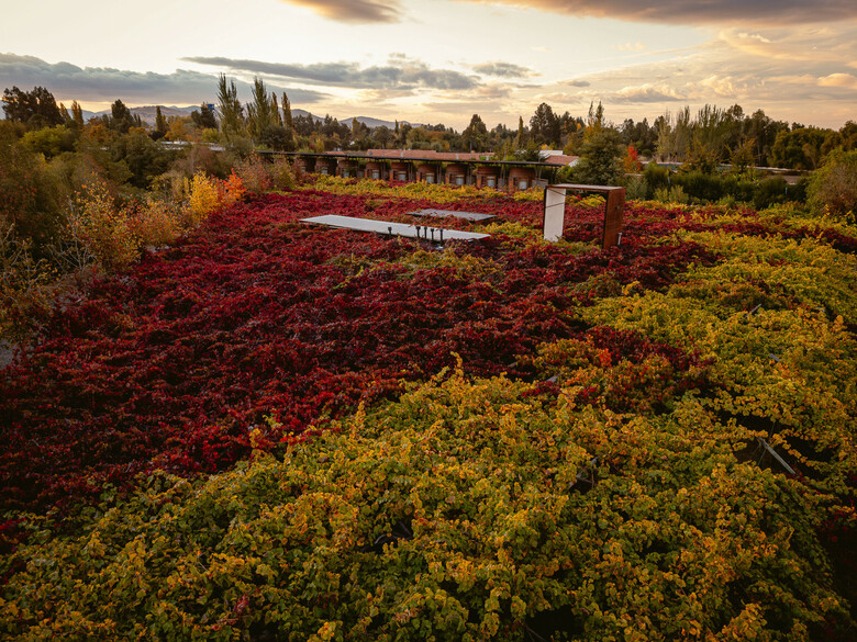 Cava Colchagua Hotel Boutique