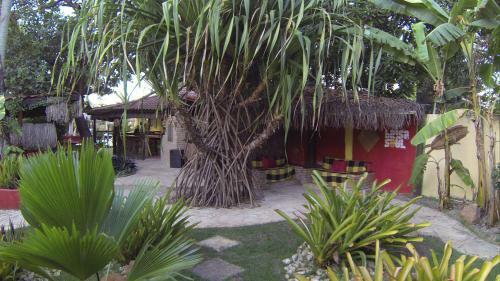Hostal Pousada Brisa & Soul