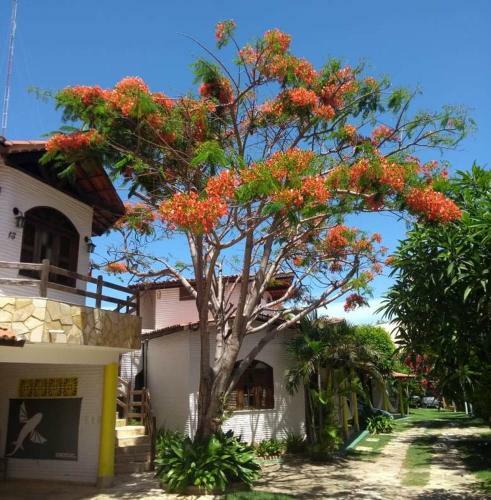 Hostal Paracuru Kite Village