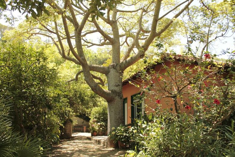 Apartamento Le Palme Garden