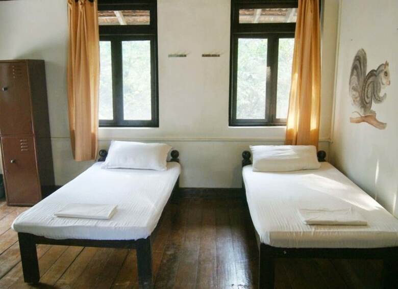 Hostal Jungle By Thehostelcrowd