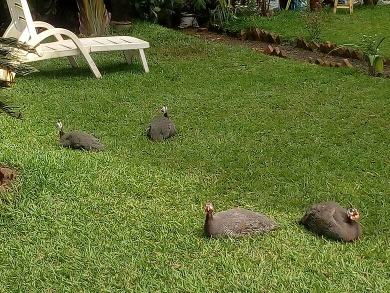 Bed & Breakfast Beach Garden Bnb