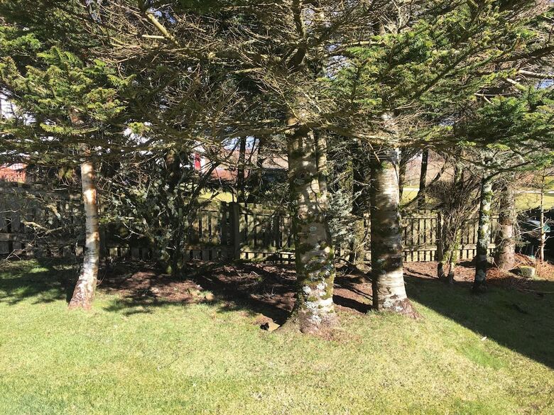 Hotel Roskill House Guest House
