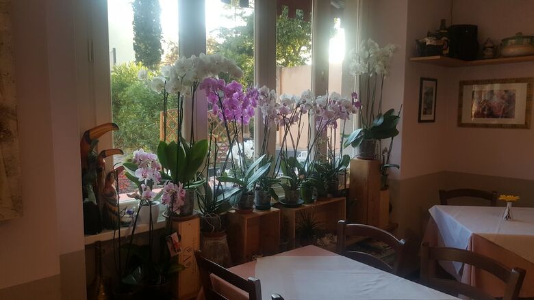 Bed & Breakfast Caff� Del Viaggiatore