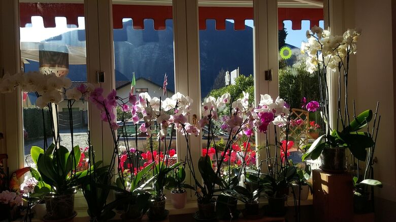 Bed & Breakfast Caff� Del Viaggiatore